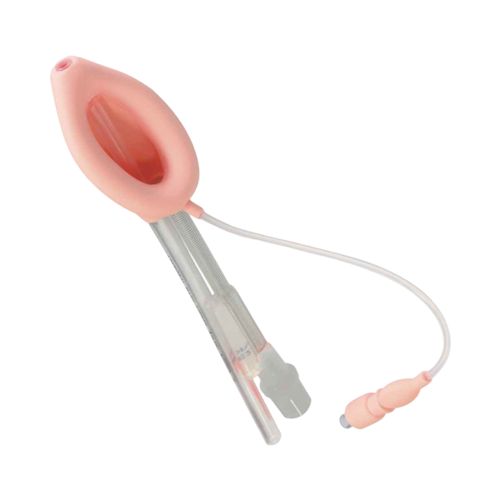 Laryngeal Mask Airway (Double Lumen Type)